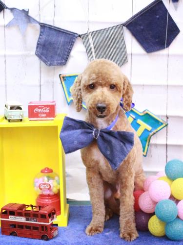 20230421ぶるくん